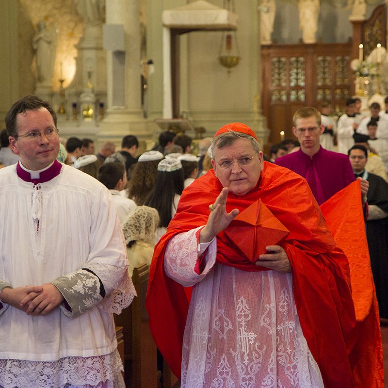 Cardinal Processing in St. Peters Church