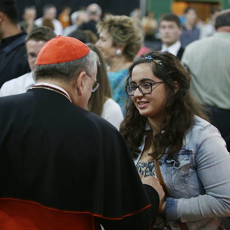 Cardinal Meeting participant at the synod on the family address