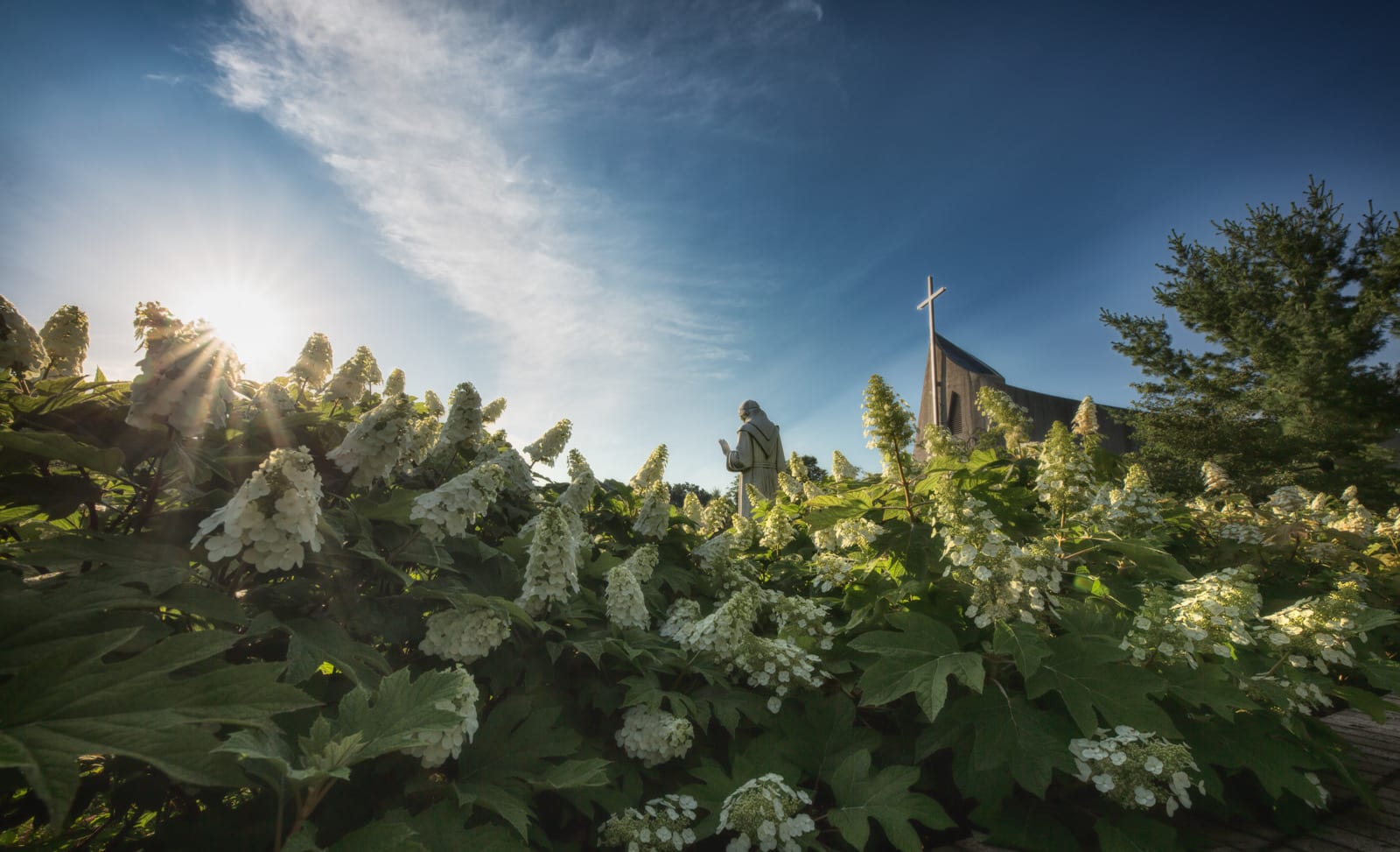 Franciscan University Of Steubenville Announces Father David Pivonka ...