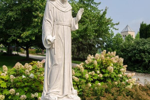 The Statue of St. Francis of Assisi