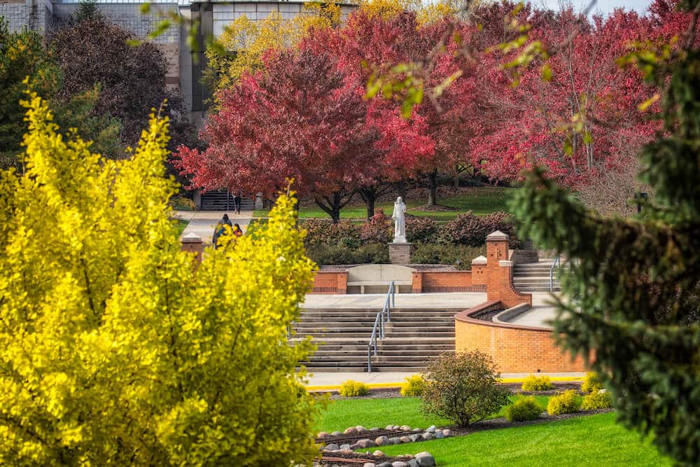 Marilyn Griffin Franciscan University Of Steubenville