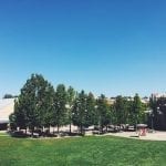 view of fieldhouse plaza from hill