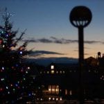 christmas tree on campus