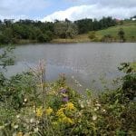 lake