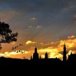 Silhouette of Church and tree and birds in the sunset