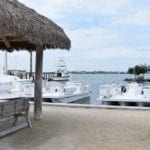 dock with boats