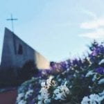 Flowers with Christ the King Chapel in Background